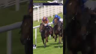 Notable Speech lands the Sussex Stakes horse horseracing racingtv sport britishhorseracing [upl. by Lirrad445]