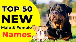 Top 50 Dogs Names  Dog Names For Male  Dog Names For Female  Unique Dog Names [upl. by Sells]