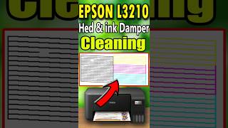 EPSON L3210 HEAD AND INK DAMPER CLEANING shorts epson [upl. by Yzeerb]