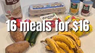 16 Meals For 16  Simple Ingredient Budget Friendly Vegetarian Meals  Eat Healthy For Cheap [upl. by Maupin]