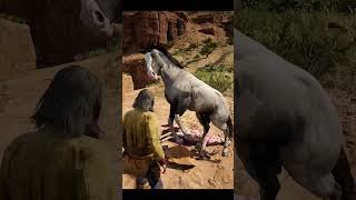 Horse gone Mad in Red Dead Redemption 2 rdr2 mods [upl. by Nitsid728]