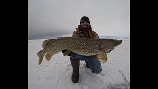 Lake of the Woods Pike 032024 [upl. by Trebbor899]