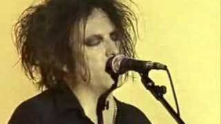 The Cure A Night Like This From DVD Festival 2005 [upl. by Enyawed197]