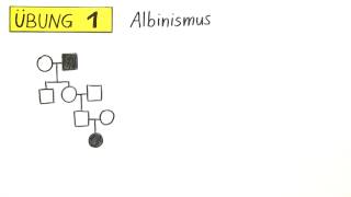 Erstellung und Analyse des Stammbaums  Übung  Biologie  Genetik [upl. by Aned569]