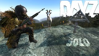 DayZ Solo Living a Realistic DayZ Story on Official dayz [upl. by Savage]