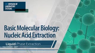 Basic Molecular Biology Nucleic Acid Extraction – Liquid Phase Extraction [upl. by Nnylhtak732]