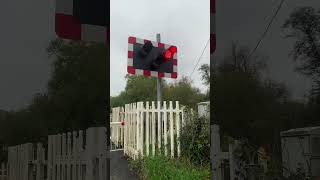 MisuseHamstead level crossing hamstead Berkshire England [upl. by Eninotna724]