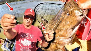 THIS Catfish Fishing Setup Catches MONSTERS How To Locate and Catch Trophy Catfish [upl. by Cammi]