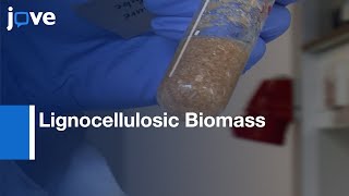 Lignocellulosic Biomass Pretreatment with Ionic Liquids  Protocol Preview [upl. by Isoais]