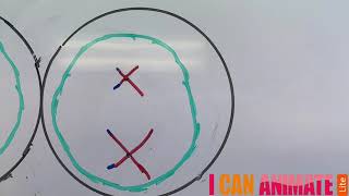 Modelling cell division in Biology [upl. by Lisha]