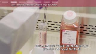 Plasmid DNA Transfection Protocol  한국어 [upl. by Ynove639]