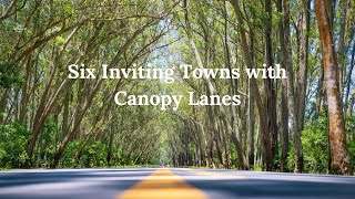 Six Inviting Towns with Canopy Lanes [upl. by Bat]