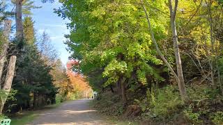 Walking Through Point Pleasant Park on a Beautiful Fall Day [upl. by Ecnarrot577]