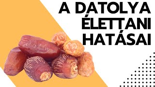 A Datolya 6 Különlegesen Pozitív Élettani Hatása [upl. by Einohpets]