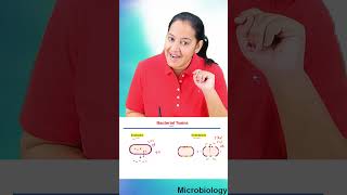 1 minute learning Exotoxin Versus Endotoxin [upl. by Norword]