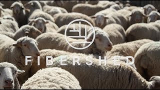 Climate Beneficial Wool Restoring Ecosystem Health with Regional Fashion [upl. by Nitram]