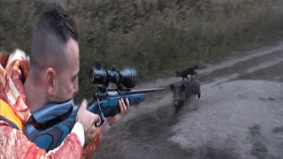 Huğlu Ovis ile adrenalin dolu yaban domuzu avı  Wild boar hunting in Türkiye [upl. by Smoht]