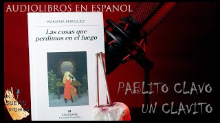 NARRACIÓN de Pablito Clavo un Clavito de MARIANA ENRIQUEZ Audiolibros en UN SUEÑO DIRIGIDO [upl. by Klemens]