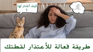 كيف تعتذر لقطتك إذا ضربتها أو أسأت معاملتها [upl. by Song495]