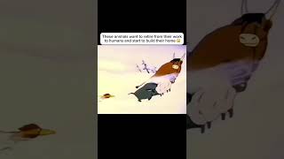 animals have feelings too anime movieexplainedinhindi movie shorts [upl. by Ayanat]