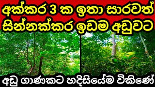 අක්කර 3 ක ඉඩම අඩු මුදලකට හදිසියේම විකිණේ  Land for sale  Aduwata idam  Agriculture land  Idam [upl. by Lanti]