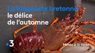 La langouste bretonne le délice de lautomne  Météo à la carte [upl. by Aimerej677]