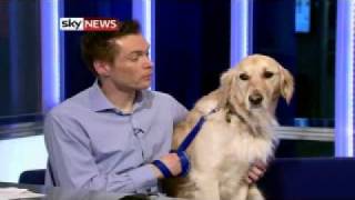 Christmas Dog Loose In Newsroom [upl. by Chet]