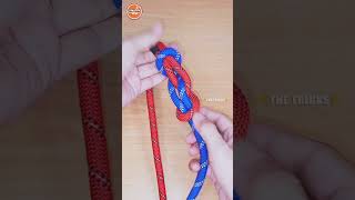 Knots rope tip diy idea for you diy viral shorts ep1781 [upl. by Hoskinson]