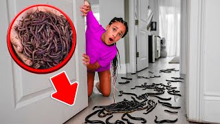 We FOUND WORMS in CALIS Room 🪱😱 [upl. by Ymerej]