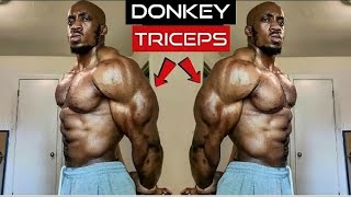 How To Build HORSESHOE Triceps  Top 3 Exercises  With Hercules Fit [upl. by Richer158]