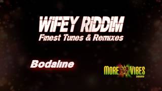 Wifey Riddim Mix  Fine tunes amp Remix by More Vibes [upl. by Llehsyt770]