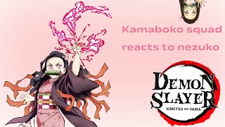 Kamaboko squad react to Nezuko Kamado ✨kny nezuko kamabokosquad [upl. by Marie]