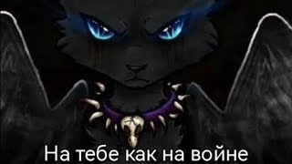 коты воители Бич клипНа тебе как на войне [upl. by Ilana167]