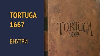 Tortuga 1667 — Внутри [upl. by Cordelia222]