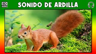 SONIDO DE ARDILLA 🐿 [upl. by Seldon]