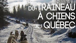 Faire du Traineau à Chiens au Canada [upl. by Aicilak]