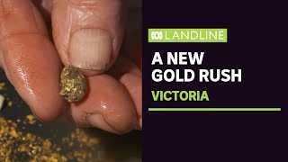 The riches flowing from Victorias new gold rush  Landline  ABC News [upl. by Acisseg693]