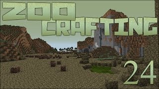 Search for Desert Sands 🐘 Zoo Crafting Episode 24 [upl. by Sherill]