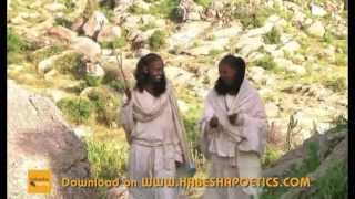 Eritrea  Mussie Negede  Bahgi Lbey  New Eritrean Music 2014 [upl. by Luhey]