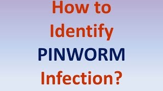 How to identify pinworm infection [upl. by Seugirdor930]