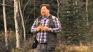 How to properly use bear spray [upl. by Juliano]