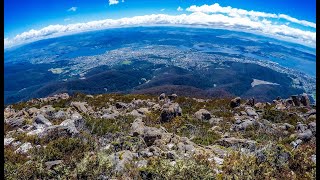 Tu mundo🌎  Documental de ecosistemas [upl. by Ahtiuqal716]