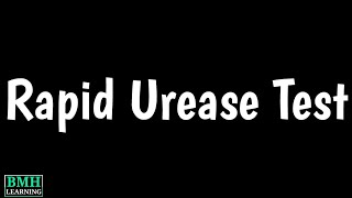 Rapid Urease Test  CLO Test  H pylori Test [upl. by Kitarp]