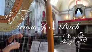 Arioso  JS Bach harp and organ [upl. by Balas]