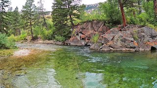 Dry Fly Perfection in Wyoming  Fly Fishing Wyoming pt 3 day 3 [upl. by Shoshana]