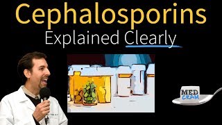 Cephalosporins  Antibiotics Explained Clearly [upl. by Ettenna]