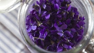 Making Perfume from Violets Enfleurage  Fresh P [upl. by Llerahc]