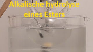 Alkalische Hydrolyse von Methylacetat [upl. by Demetrius]