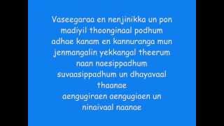 Minnale  Vaseegara Lyrics [upl. by Rossuck]