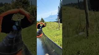 Mount pilatus Tobogganing Switzerland action switzerland [upl. by Phillis237]